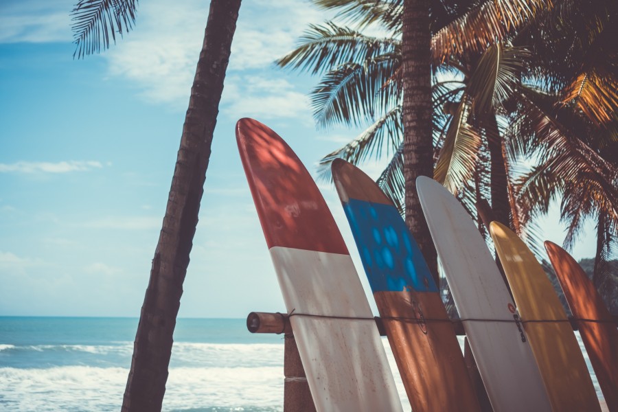 Quels sont les différents types de surf ?