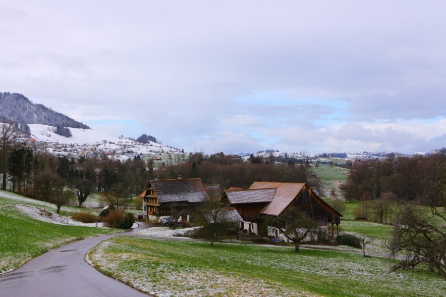 Comment se rendre en Autriche pour faire du ski ?