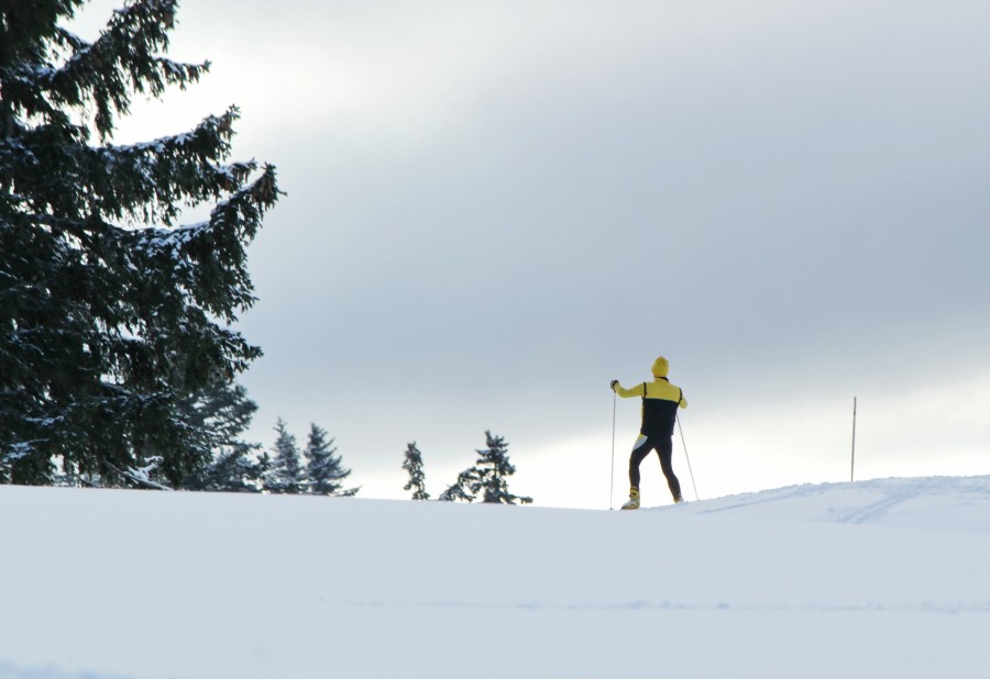 Quel est l'état de l'enneigement des pistes de ski de fond en France ?