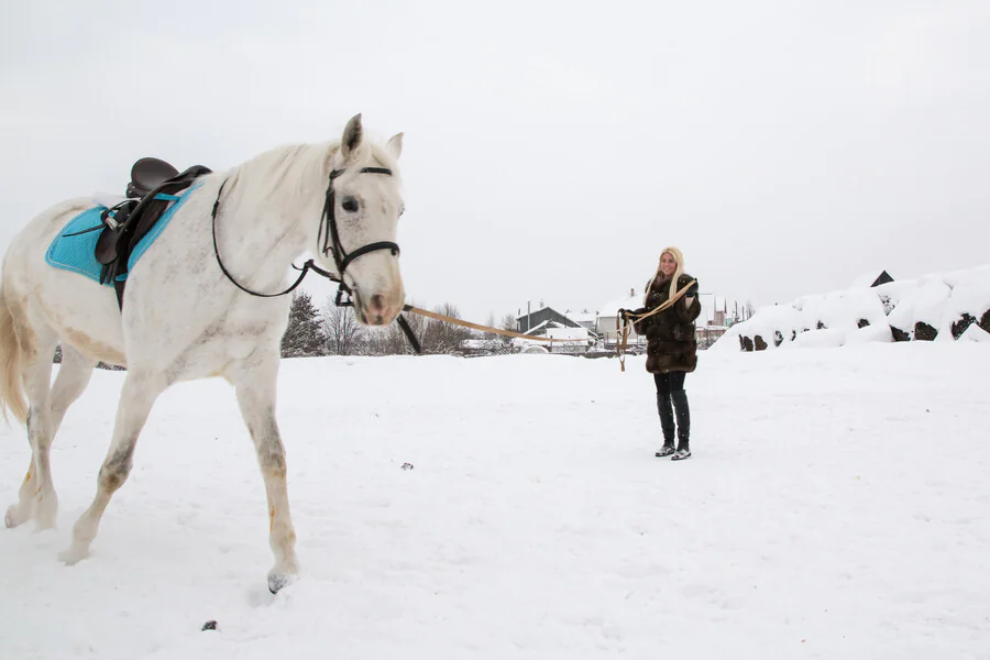 Quels sont les meilleurs endroits pour faire du ski joëring avec un cheval ?