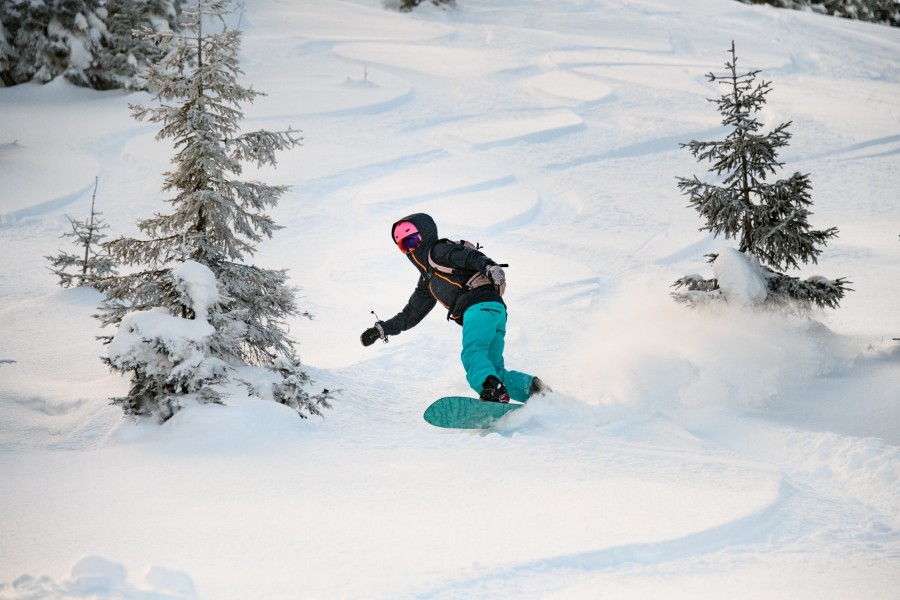 Qu'est-ce que le surf des neiges ?